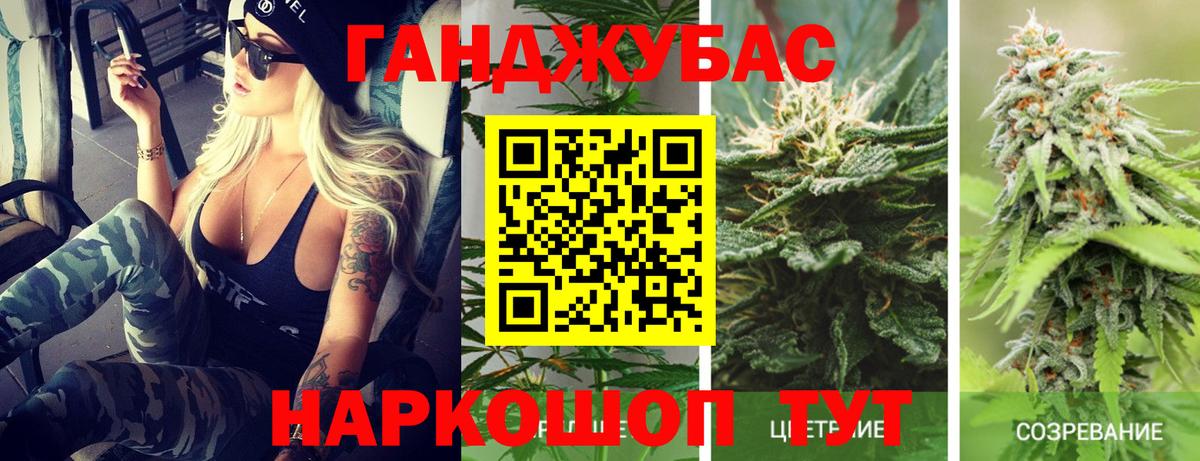 Бошки Шишки марихуана Отрадный
